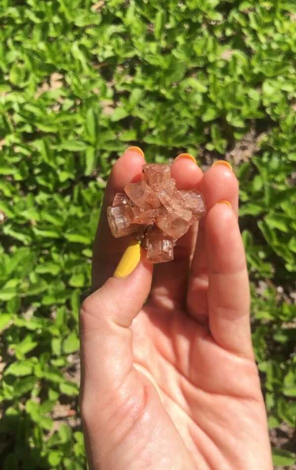 Aragonite star cluster