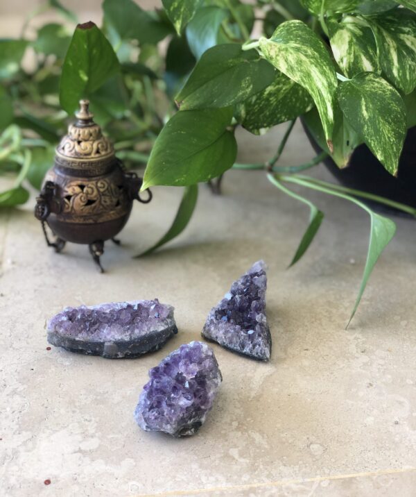 Amethyst cluster