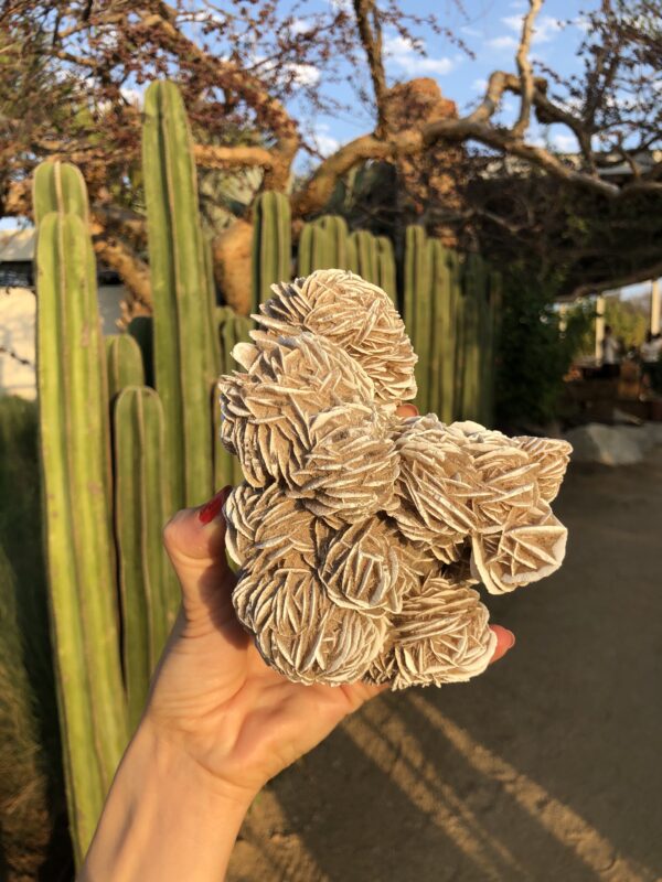 Desert Rose Selenite